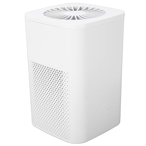 Air Purifier