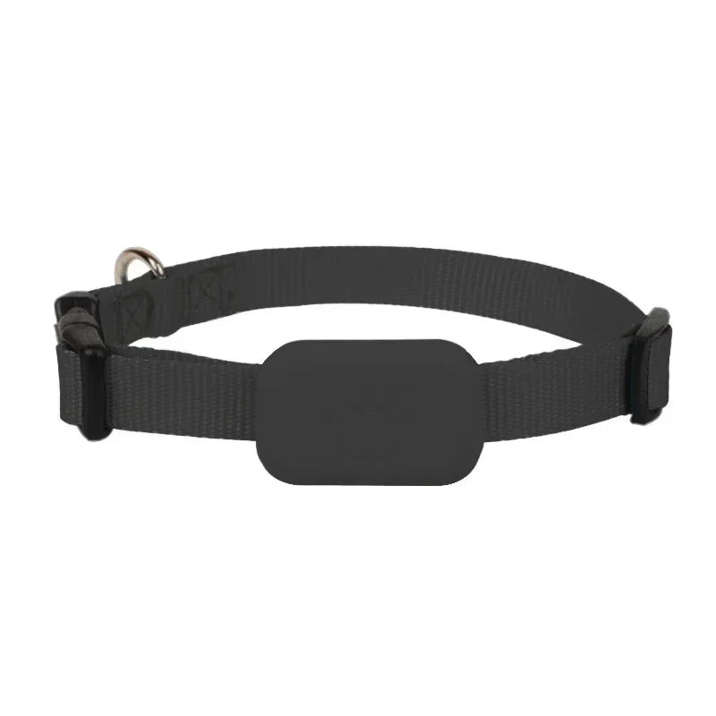 Anti Lost Pet Collar