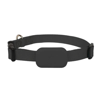 Anti Lost Pet Collar